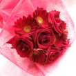 東京都杉並区フローラ花工房の花　真っ赤な花束