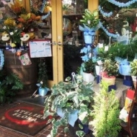 東京都杉並区の花屋　フローラ花工房